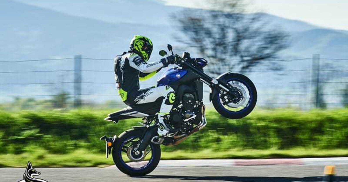 Test Yamaha MT-09 - Die watscht dich her
