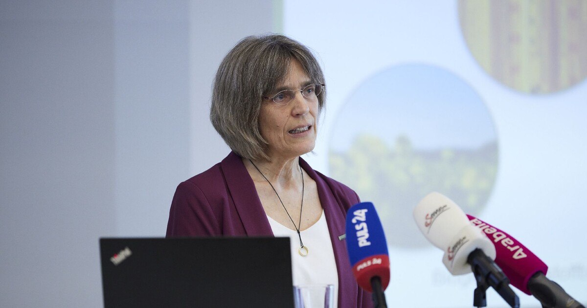 Mit Biosprit zum Klimaziel