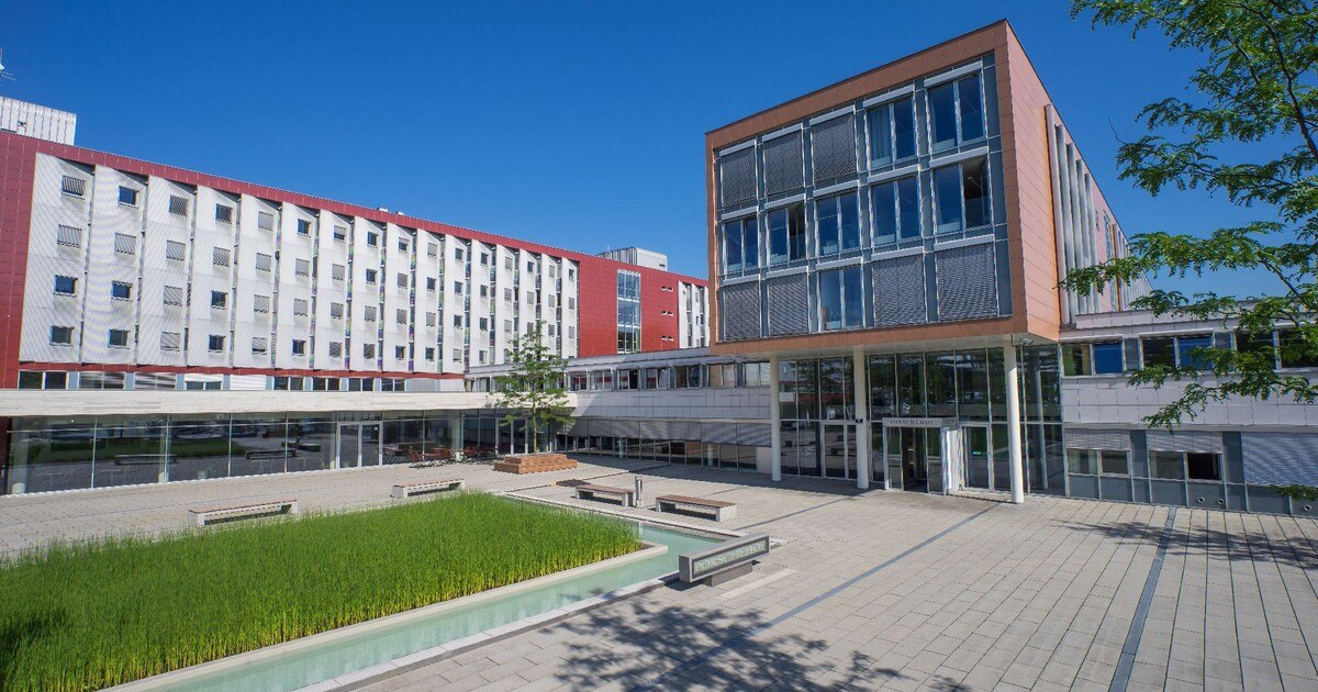 VW: Die Grenzen des Wachstums