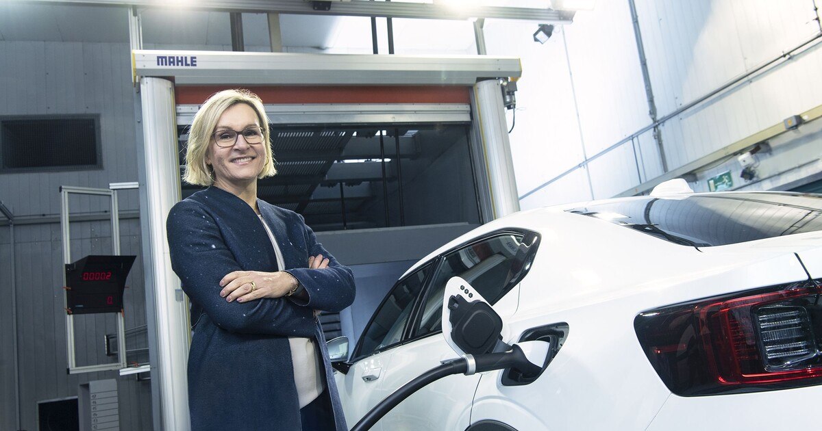 Batterien im Klimatest