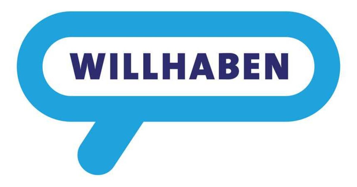 Willhaben: Analyse gebrauchter E-Autos