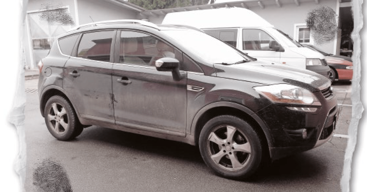 Ford Kuga: Fehler im System