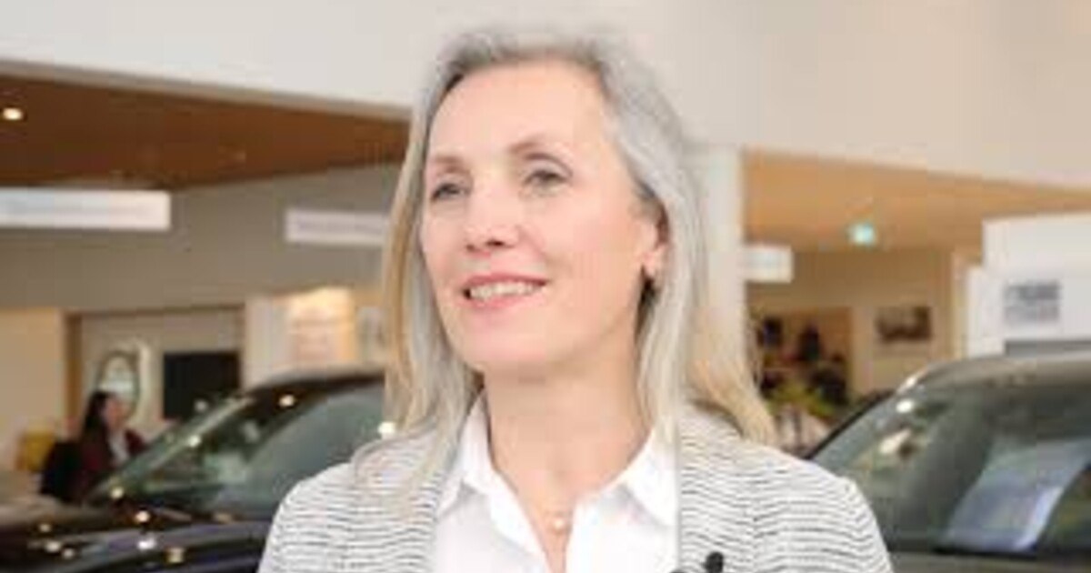 Autohandel mit Onlineplattformen – Teil 1