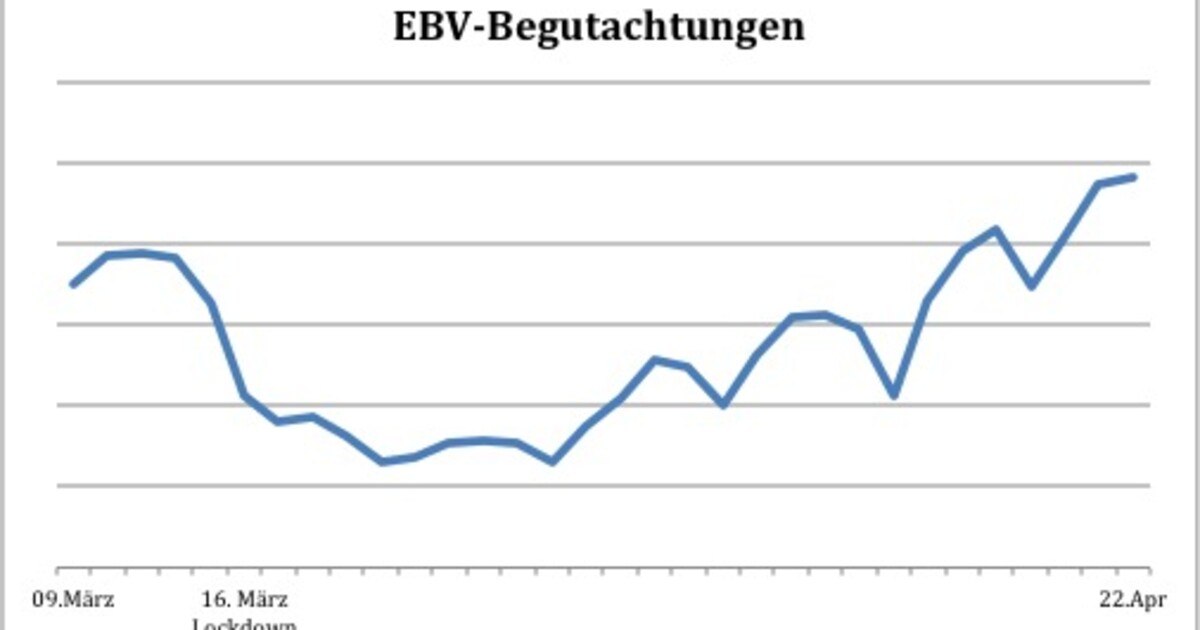 EBV: §57a-Begutachtungen auf Niveau vor der Krise