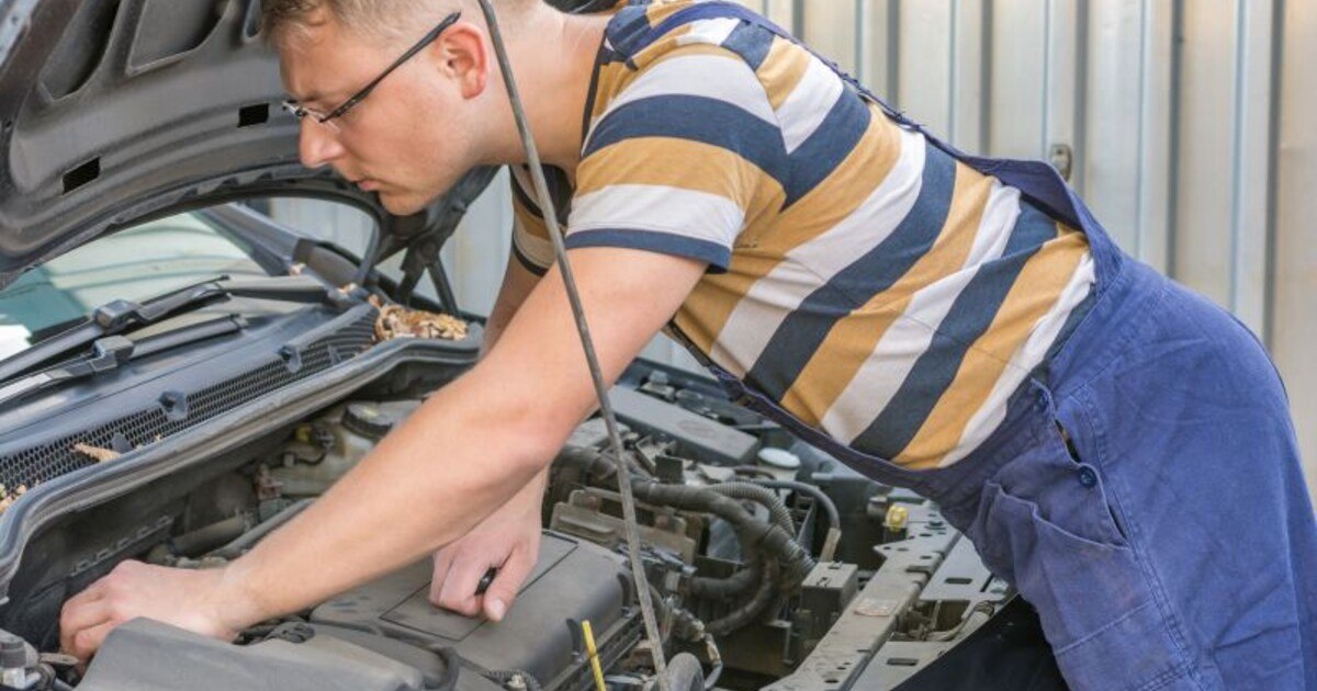 Marderabwehr: So bekommt das Auto weniger Biss
