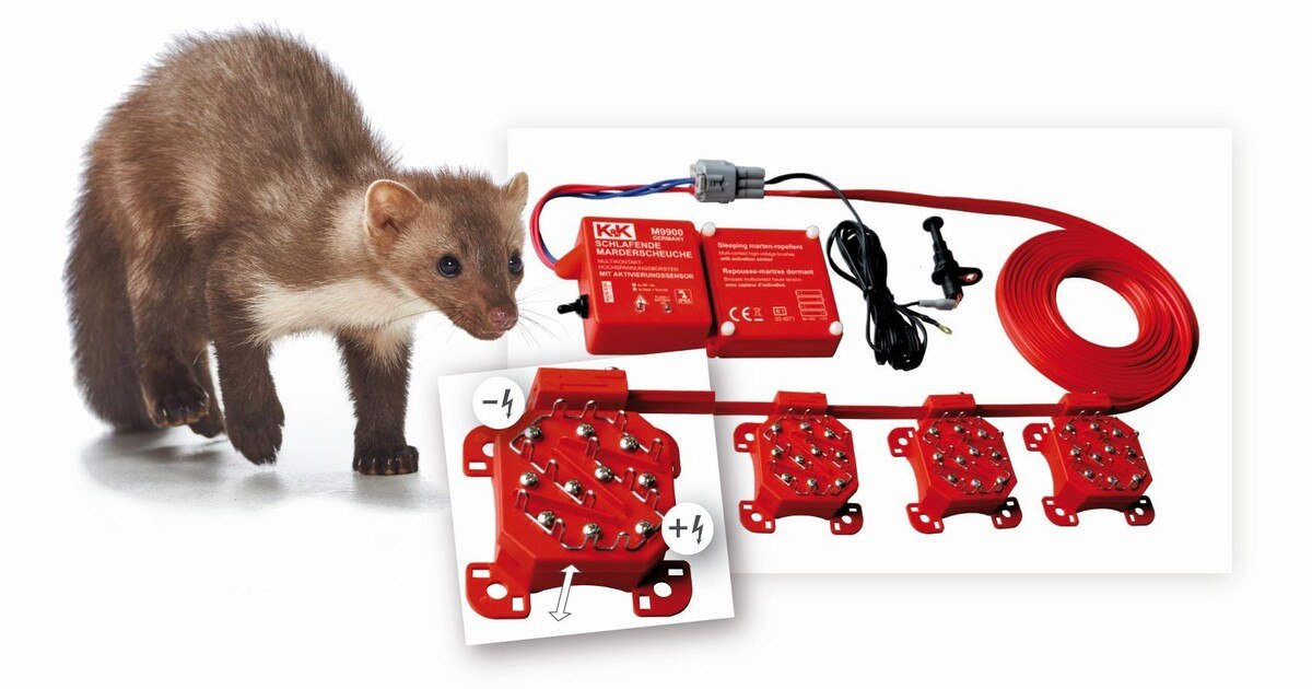 K&amp;K: Die „aufgeweckte“ Marderabwehr