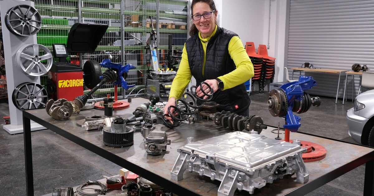 L-Klasse: Der bunte Vehikel-Zoo