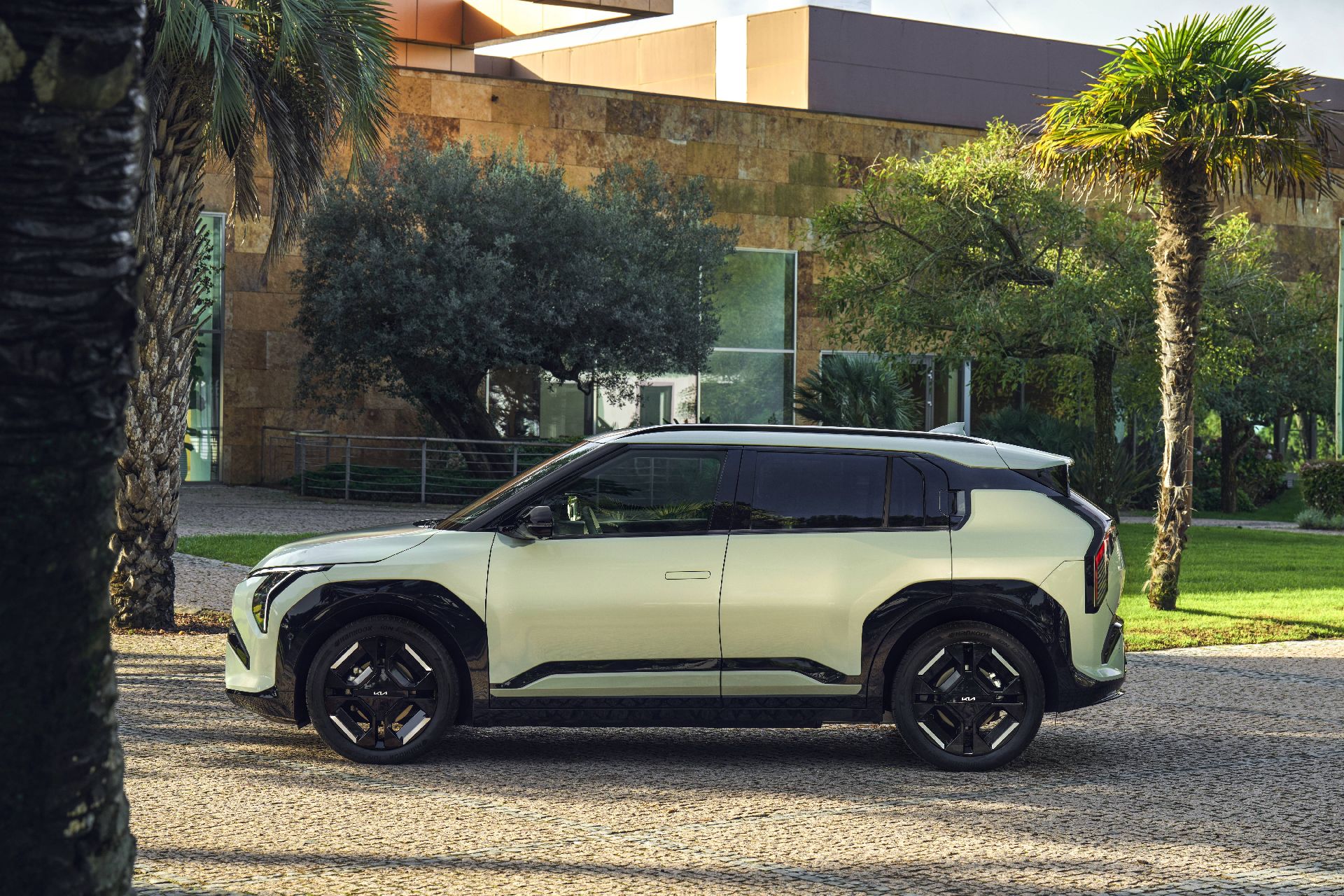 Die Elektroautos des Jahres